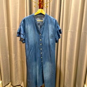 Distressed Jean Dress from New York Given Kale